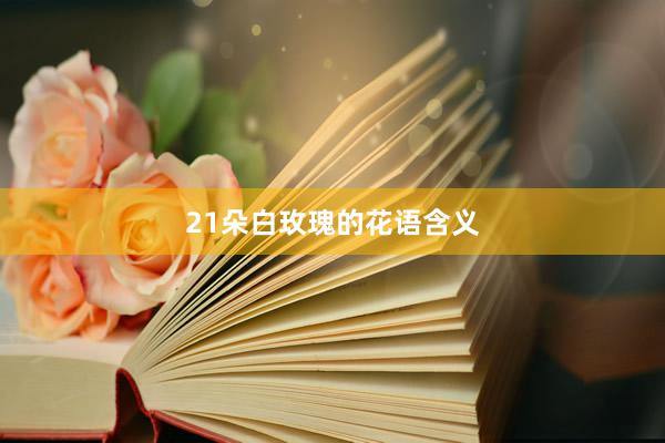 21朵白玫瑰的花语含义